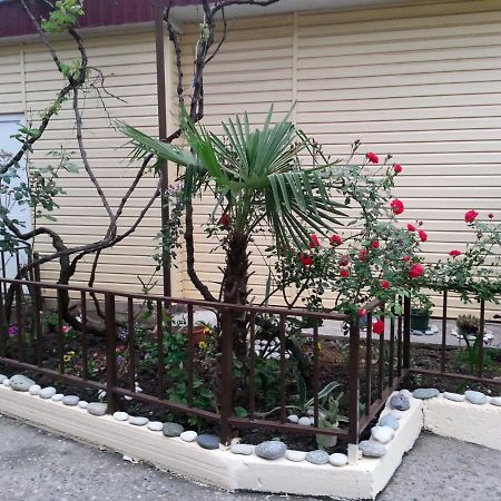Orhidea Guest House Gagra Dış mekan fotoğraf