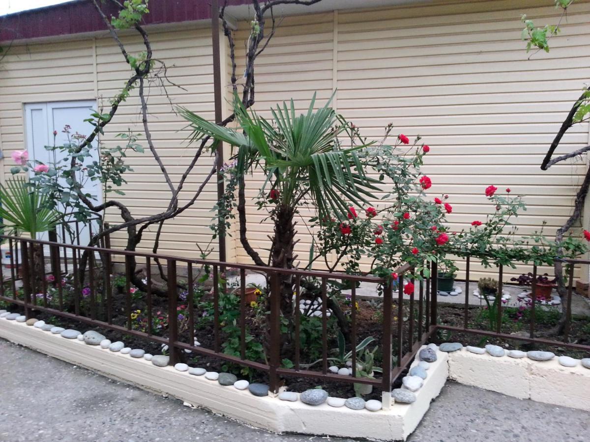 Orhidea Guest House Gagra Dış mekan fotoğraf