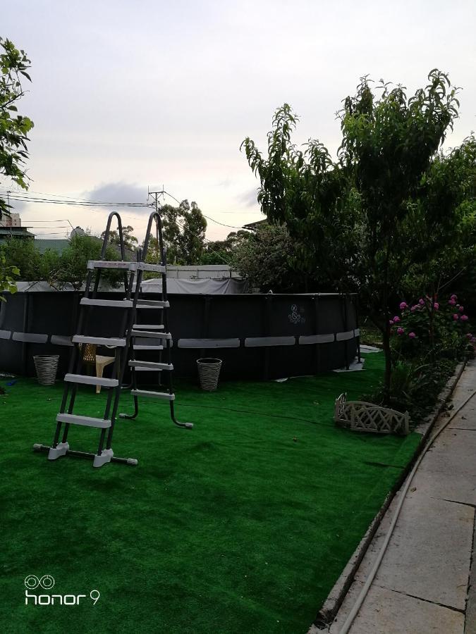 Orhidea Guest House Gagra Dış mekan fotoğraf